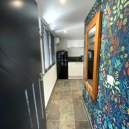 Appartement T3 Centre